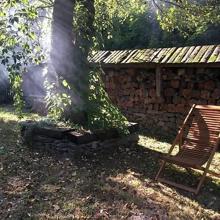 Enchanting Antique In The Polish Forest *