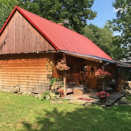 Enchanting Antique In The Polish Forest Ponikiew (Lesser Poland)