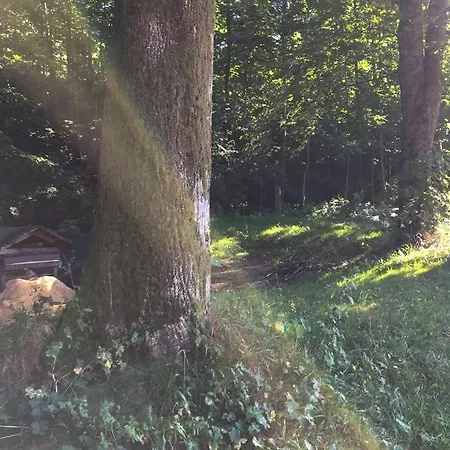 בית נופש Enchanting Antique In The Polish Forest Ponikiew (Lesser Poland)