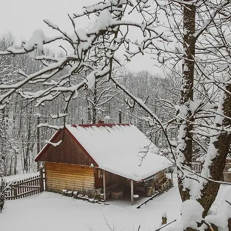 Enchanting Antique In The Polish Forest בית נופש *