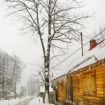 Enchanting Antique In The Polish Forest